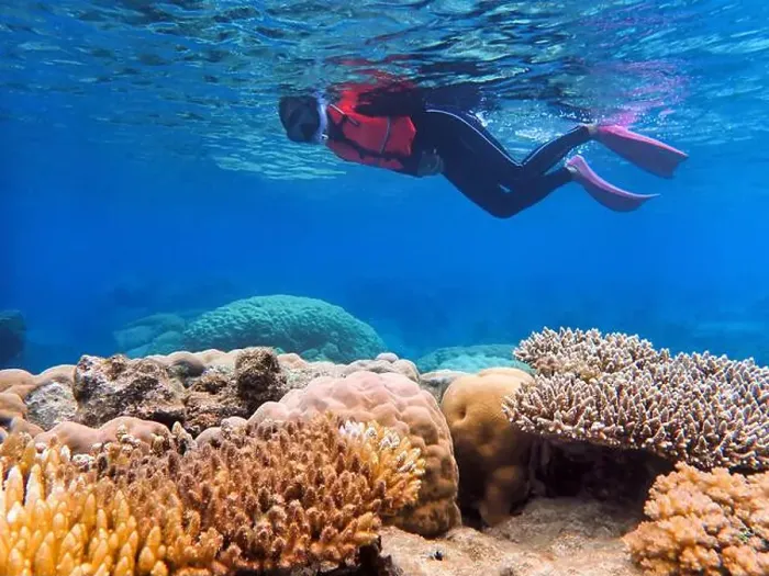 Framed Print : Indonesia Anambas Islands - Woman snorkeling in coral reef Framed Print : Indonesia Anambas Islands - Woman snorkeling in coral reef