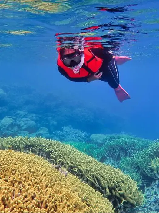 Framed Print : Indonesia Anambas Islands - Woman snorkeling in coral reef Framed Print : Indonesia Anambas Islands - Woman snorkeling in coral reef