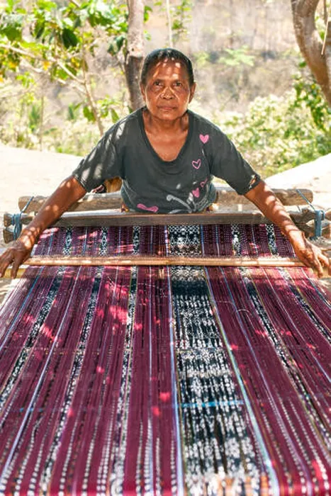 Framed Print : Indonesian woman weaving traditional sarongs on the roadside on the island of Flores in Indonesia Framed Print : Indonesian woman weaving traditional sarongs on the roadside on the island of Flores in Indonesia