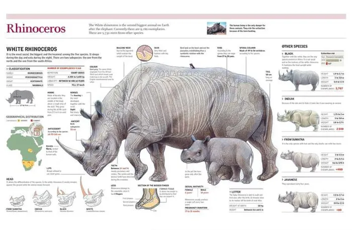 Framed Print : Infographics of the distribution Framed Print : Infographics of the distribution
