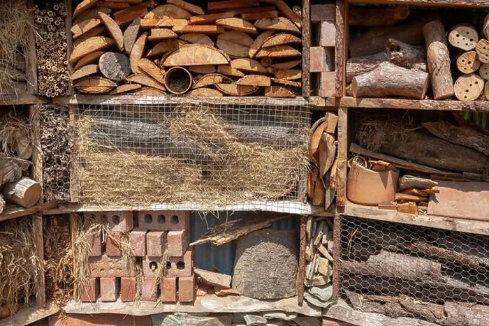 Framed Print : The insect hotel in the Lost Gardens of Heligan, Pentewan, St.Austell, Cornwall, UK Framed Print : The insect hotel in the Lost Gardens of Heligan, Pentewan, St.Austell, Cornwall, UK