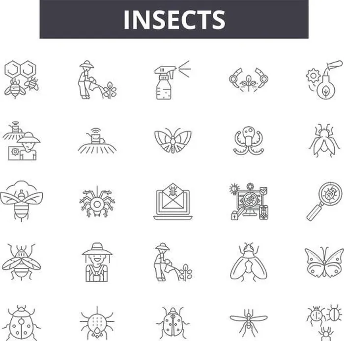 Framed Print : Insects line icons, signs set, vector. Insects outline concept illustration: bug, black, insect, spider, beetle, fly, ant
