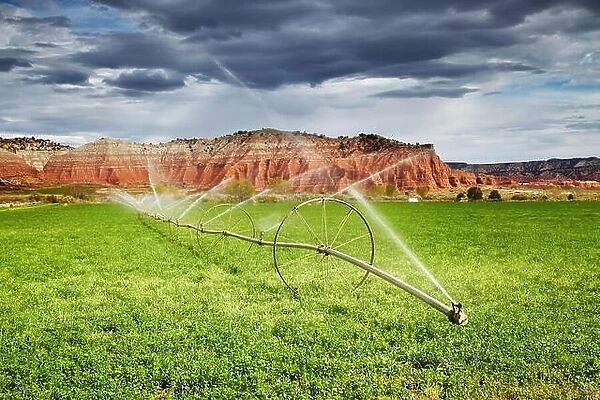 Irrigated agriculture in desert, farm in Utah, USA
