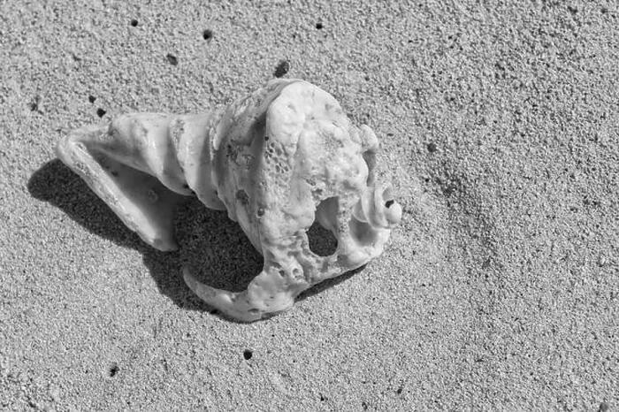 Framed Print : Isla Mujeres Beach Detail Framed Print : Isla Mujeres Beach Detail
