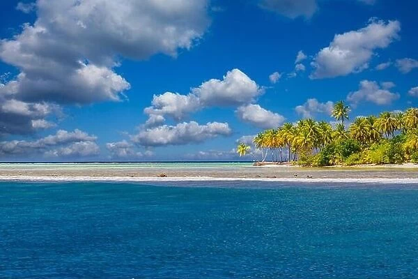 Island beach with palm trees, sunny blue sky with clouds. Paradise landscape, stunning scenic ocean lagoon, seascape horizon. Perfect summer beach