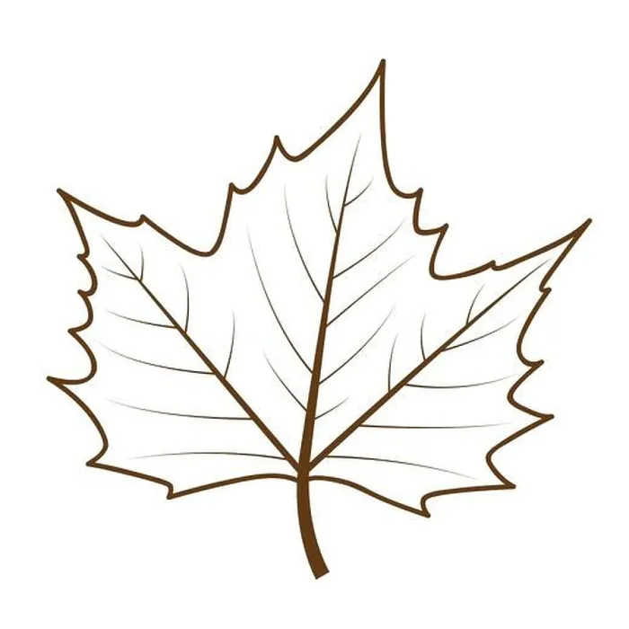 Framed Print : isolated autumn leaf outline drawing vector illustration EPS10 Framed Print : isolated autumn leaf outline drawing vector illustration EPS10