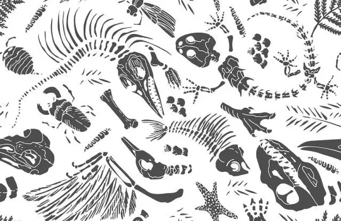 Framed Print : Isolated black stencil imprints skeletons of prehistoric animals
