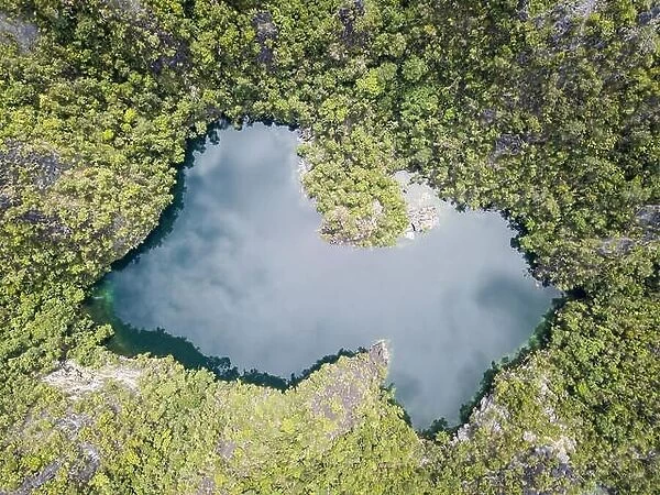 An isolated marine lake is found inside a remote limestone island near Misool in Raja Ampat. This tropical region has high marine biodiversity