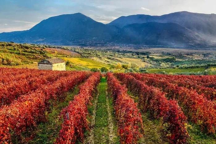 Framed Print : Italy Campania Guardia Sanframondi (Bn) agricultural landscape Framed Print : Italy Campania Guardia Sanframondi (Bn) agricultural landscape