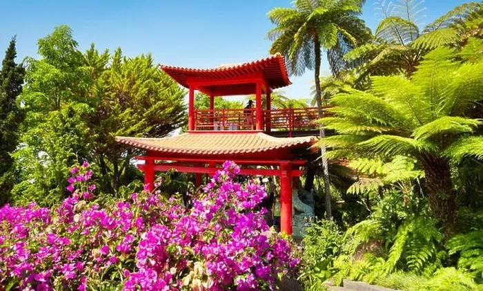 Framed Print : Japan japanese oriental flower garden Monte Palace Tropical Garden - Madeira Island, Portugal Framed Print : Japan japanese oriental flower garden Monte Palace Tropical Garden - Madeira Island, Portugal