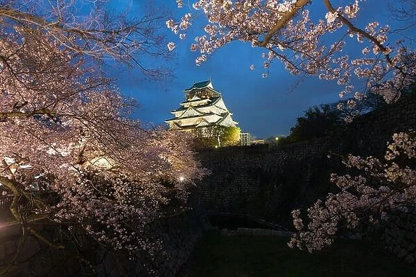 Japan landscape at dusk. Osaka Castle during the spring cherry blossom season flower at night in Osaka, Japan