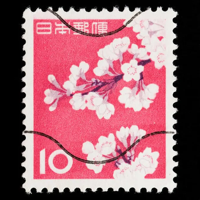 Framed Print : Japan Postage Stamp - Cherry Blossoms Framed Print : Japan Postage Stamp - Cherry Blossoms