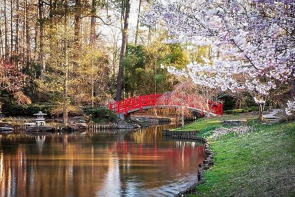 Japanese Gardens in spring season