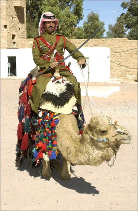 Framed Print : Jordanian Dessert police Officer on Camel, Petra Jordan Framed Print : Jordanian Dessert police Officer on Camel, Petra Jordan