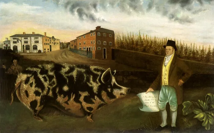 Framed Print : Joseph Lawton's Midland Pig