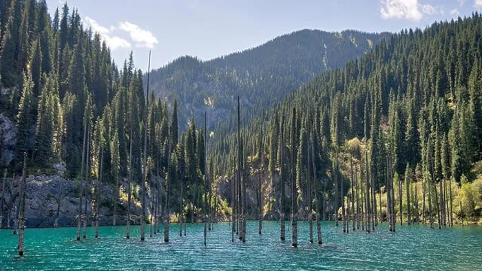 Framed Print : Kaindy Lake in South East Kazakhstan, taken in August 2018 taken in hdr Framed Print : Kaindy Lake in South East Kazakhstan, taken in August 2018 taken in hdr