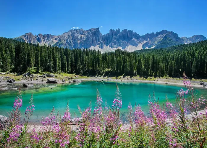 Framed Print : Karersee Lake with wild flowers forest and mountains, Dolomites, Italy Framed Print : Karersee Lake with wild flowers forest and mountains, Dolomites, Italy