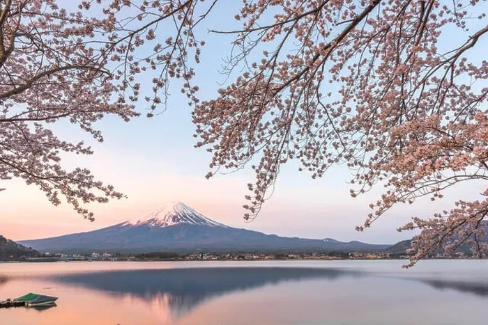 Framed Print : Kawaguchi Lake, Japan at Mt. Fuji in the evening during the spring Framed Print : Kawaguchi Lake, Japan at Mt. Fuji in the evening during the spring