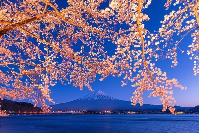 Framed Print : Kawaguchi Lake, Japan at Mt. Fuji in the evening during the spring Framed Print : Kawaguchi Lake, Japan at Mt. Fuji in the evening during the spring