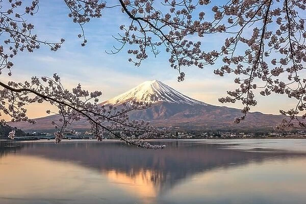 Kawaguchi Lake, Japan at Mt. Fuji in the morning during the spring