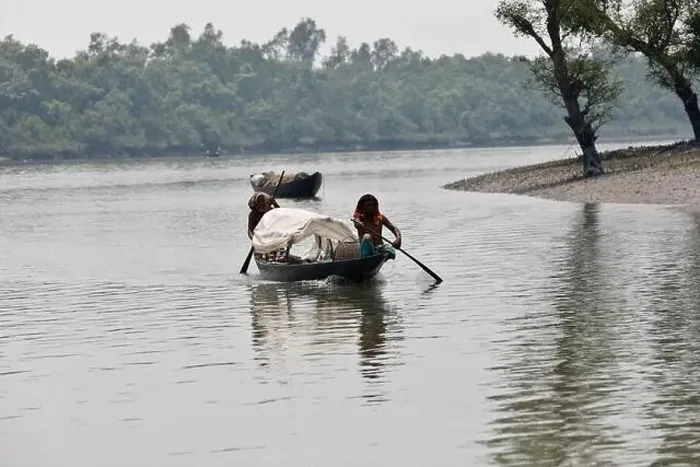 Framed Print : Khulna, Bangladesh - April 13, 2024: The Sundorbons is the largest mangrove forest in the world Framed Print : Khulna, Bangladesh - April 13, 2024: The Sundorbons is the largest mangrove forest in the world
