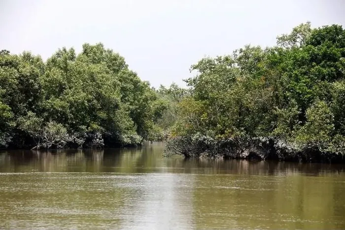 Framed Print : Khulna, Bangladesh - April 13, 2024: The Sundorbons is the largest mangrove forest in the world Framed Print : Khulna, Bangladesh - April 13, 2024: The Sundorbons is the largest mangrove forest in the world