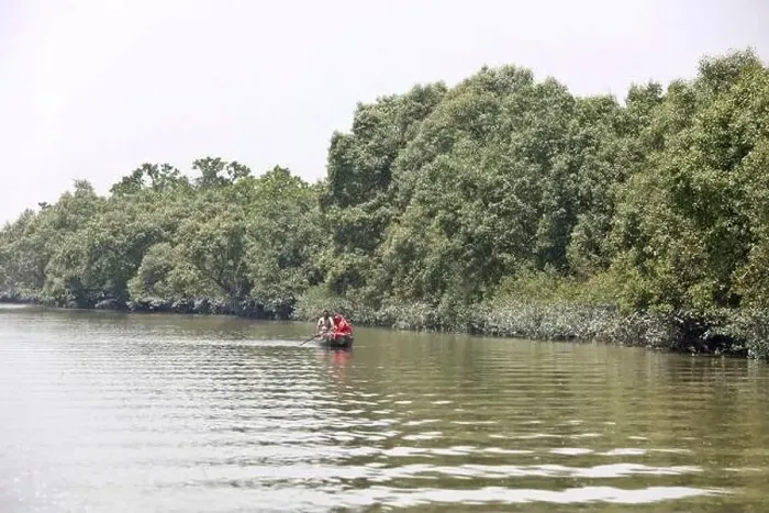 Framed Print : Khulna, Bangladesh - April 13, 2024: The Sundorbons is the largest mangrove forest in the world Framed Print : Khulna, Bangladesh - April 13, 2024: The Sundorbons is the largest mangrove forest in the world