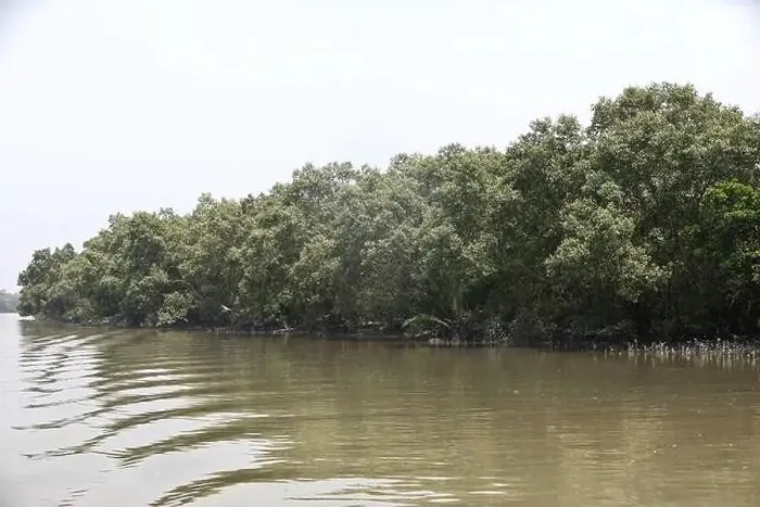 Framed Print : Khulna, Bangladesh - April 13, 2024: The Sundorbons is the largest mangrove forest in the world Framed Print : Khulna, Bangladesh - April 13, 2024: The Sundorbons is the largest mangrove forest in the world