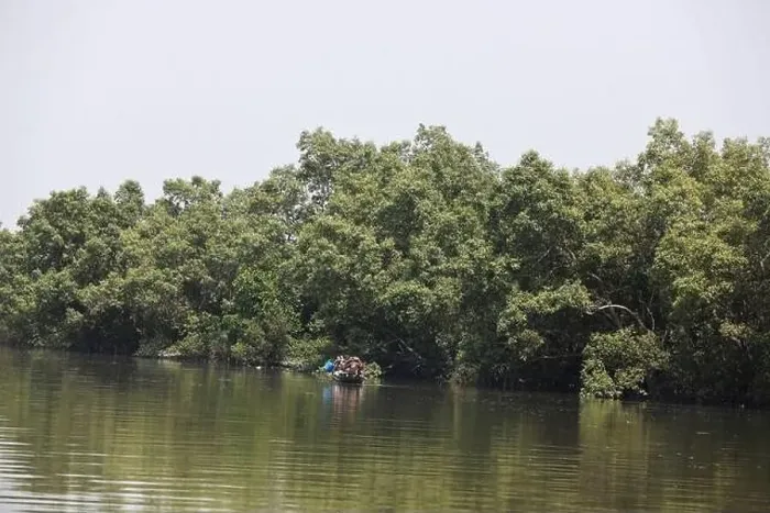 Framed Print : Khulna, Bangladesh - April 13, 2024: The Sundorbons is the largest mangrove forest in the world