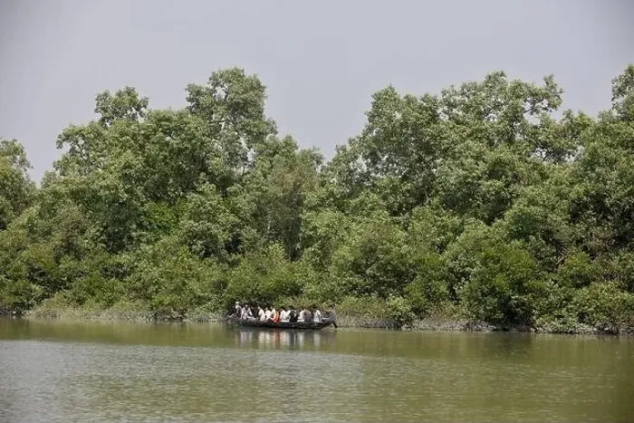 Framed Print : Khulna, Bangladesh - April 13, 2024: The Sundorbons is the largest mangrove forest in the world Framed Print : Khulna, Bangladesh - April 13, 2024: The Sundorbons is the largest mangrove forest in the world