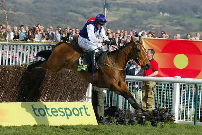 Framed Print : KICKING KING TOTESPORT CHELTENHAM GOLD CUP CHELTENHAM RACECOURSE CHELTENHAM 18 March 2005 Framed Print : KICKING KING TOTESPORT CHELTENHAM GOLD CUP CHELTENHAM RACECOURSE CHELTENHAM 18 March 2005