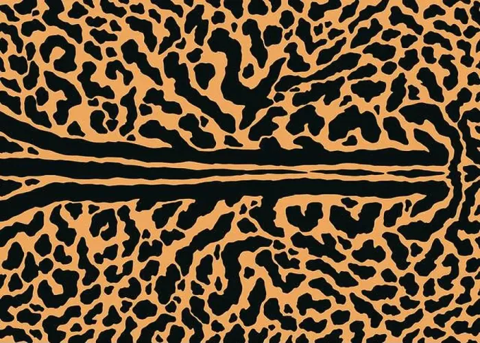 Framed Print : King cheetah skin pattern design Framed Print : King cheetah skin pattern design