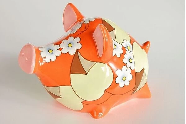 China piggy shop bank