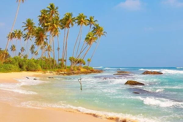 Koggala palms beach, Sri Lanka, Asia