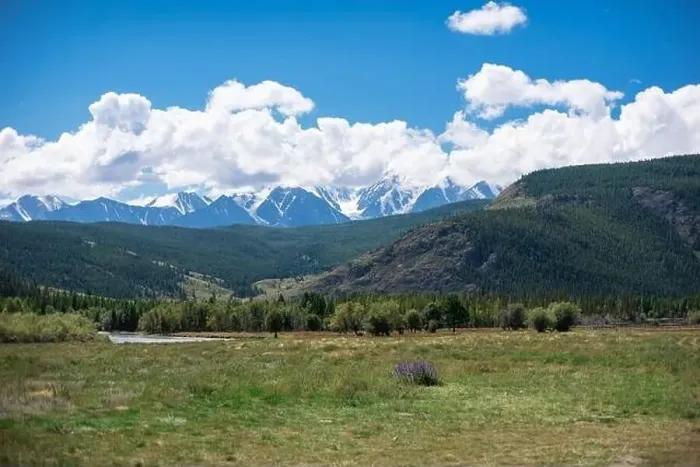 Framed Print : Kurai steppe and North-Chui ridge on background. Altai mountains, Russia Framed Print : Kurai steppe and North-Chui ridge on background. Altai mountains, Russia