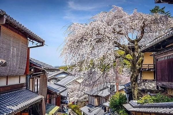 Kyoto, Japan at the Higashiyama district in the springtime