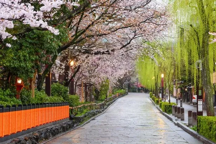 Framed Print : Kyoto, Japan at the historic Gion District during the spring season Framed Print : Kyoto, Japan at the historic Gion District during the spring season