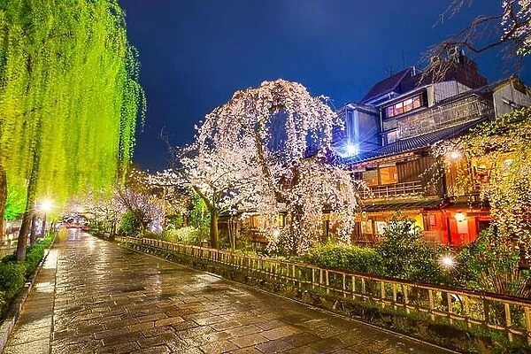 Kyoto, Japan at the historic Shirakawa District during the spring season