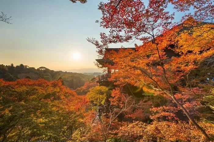 Framed Print : Kyoto, Japan at Kiyomizu-dera Temple during autumn season Framed Print : Kyoto, Japan at Kiyomizu-dera Temple during autumn season