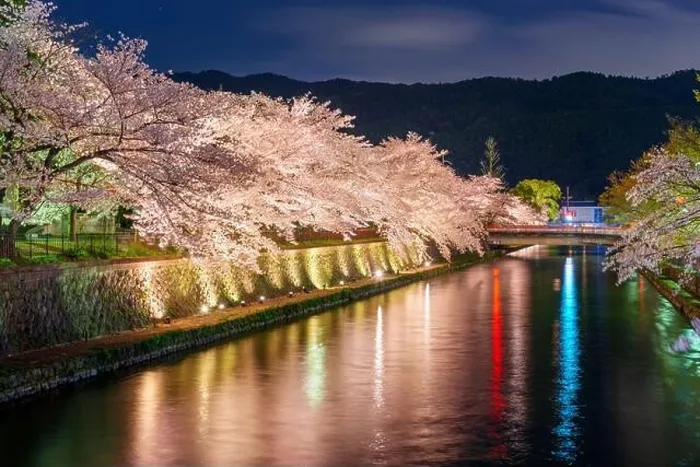 Framed Print : Kyoto, Japan on the Okazaki Canal during the spring cherry blossom season Framed Print : Kyoto, Japan on the Okazaki Canal during the spring cherry blossom season