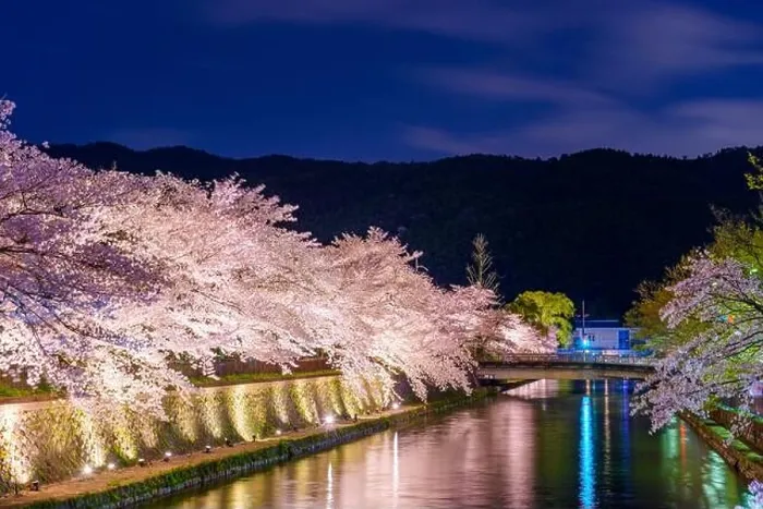 Framed Print : Kyoto, Japan on the Okazaki Canal during the spring cherry blossom season at night Framed Print : Kyoto, Japan on the Okazaki Canal during the spring cherry blossom season at night