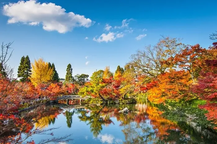 Framed Print : Kyoto, Japan at the pond and bridge of Eikando Temple in the Autumn Framed Print : Kyoto, Japan at the pond and bridge of Eikando Temple in the Autumn