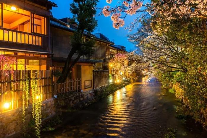 Framed Print : Kyoto, Japan at the Shirakawa River in the Gion District during the spring. Cherry blosson season in Kyoto, Japan Framed Print : Kyoto, Japan at the Shirakawa River in the Gion District during the spring. Cherry blosson season in Kyoto, Japan