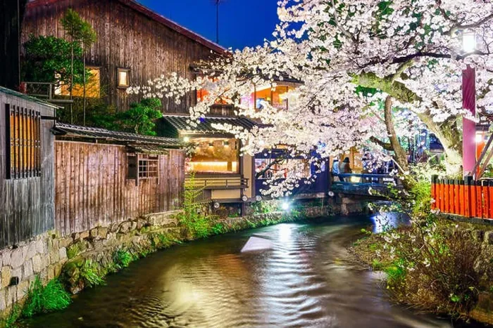 Framed Print : Kyoto, Japan at the Shirakawa River during the spring cherry blosson season Framed Print : Kyoto, Japan at the Shirakawa River during the spring cherry blosson season