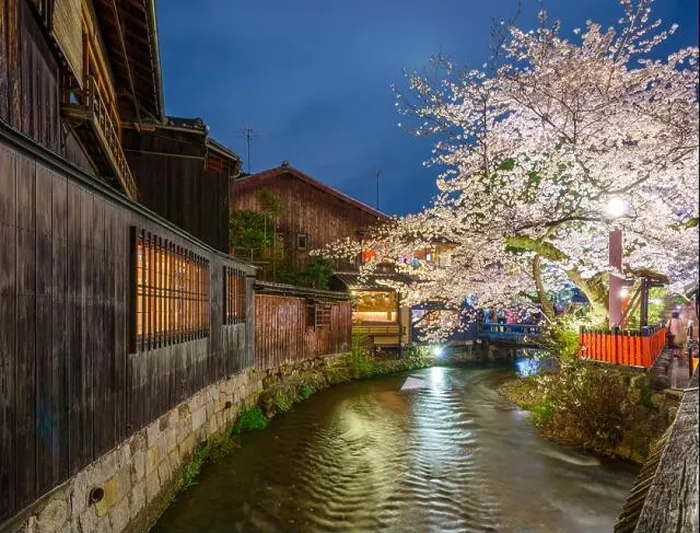 Framed Print : Kyoto, Japan at the Shirakawa River during the spring cherry blosson season at night Framed Print : Kyoto, Japan at the Shirakawa River during the spring cherry blosson season at night