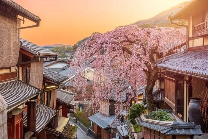 Framed Print : Kyoto, Japan springtime in the historic Higashiyama district art dawn Framed Print : Kyoto, Japan springtime in the historic Higashiyama district art dawn