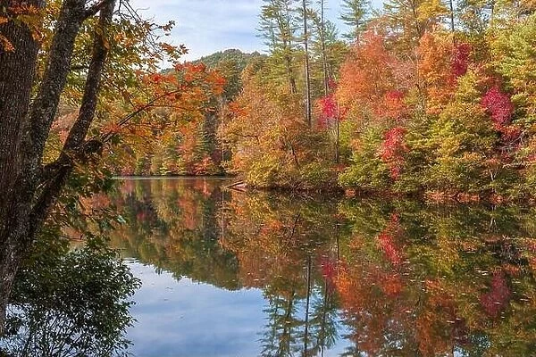 Lakeside fall foliage at Santeetlah Lake, North Carolina, USA