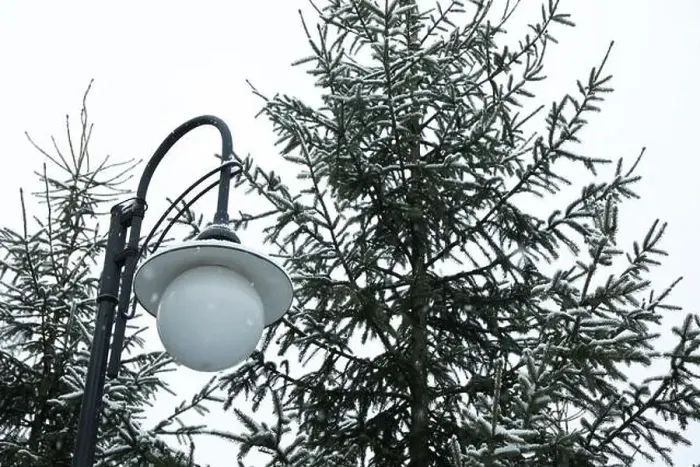 Framed Print : Lamp post and conifer trees in snowy day Framed Print : Lamp post and conifer trees in snowy day