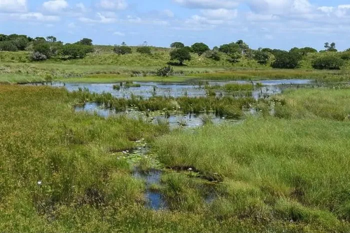 Framed Print : Landscape of Isimangaliso wetland park in South Africa Framed Print : Landscape of Isimangaliso wetland park in South Africa