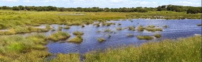 Framed Print : Landscape of Isimangaliso wetland park in South Africa Framed Print : Landscape of Isimangaliso wetland park in South Africa
